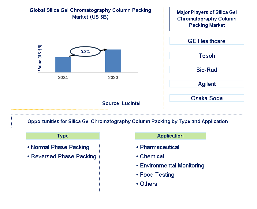 Silica Gel Chromatography Column Packing Trends and Forecast